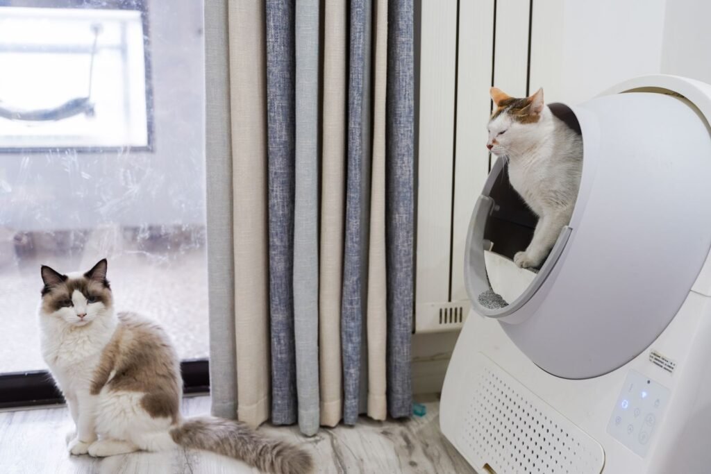 Two cats relaxing in a modern living room with an automated litter box nearby