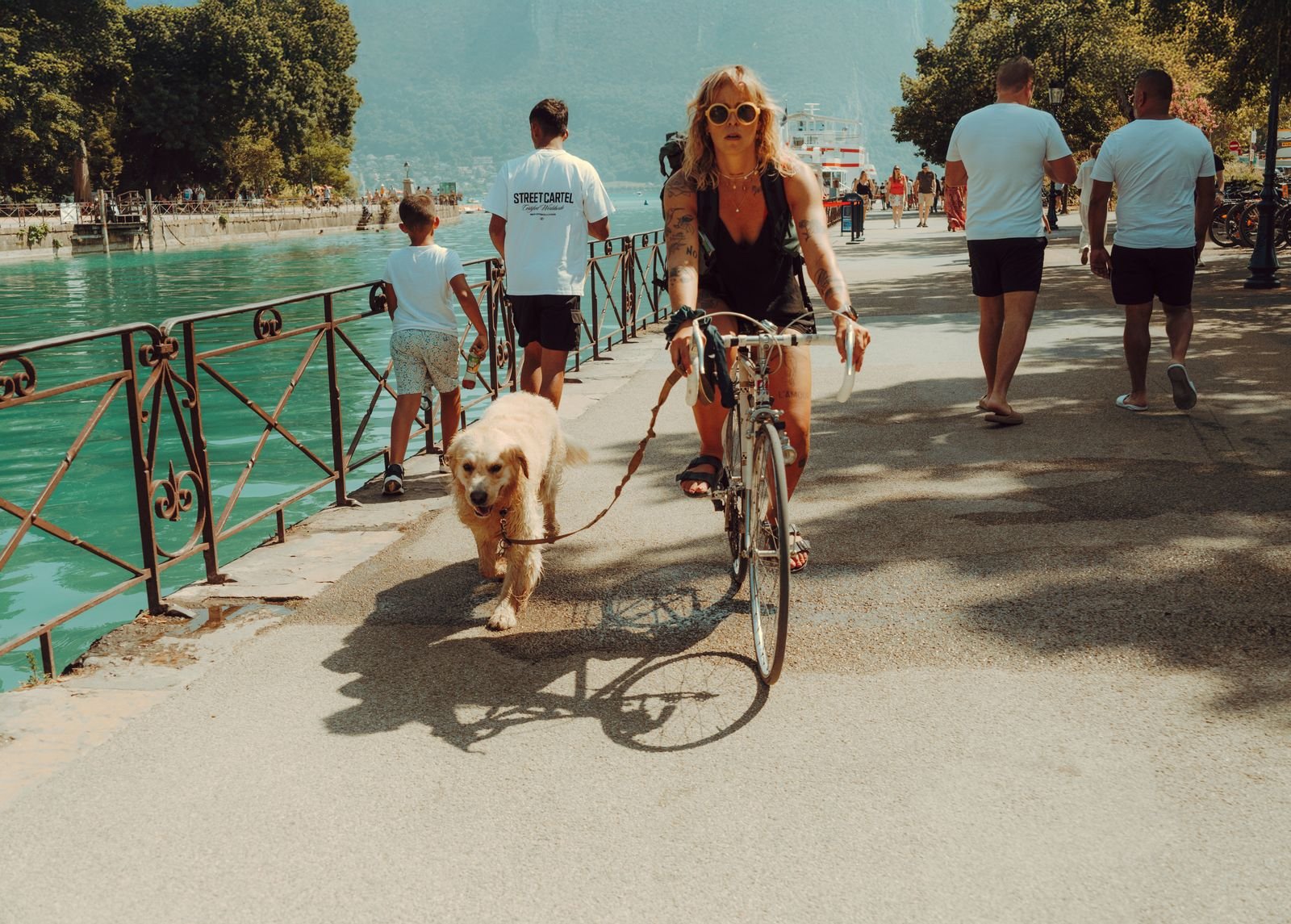 Springer vs WalkyDog Plus: Which Dog Bike Leash Is Worth It?