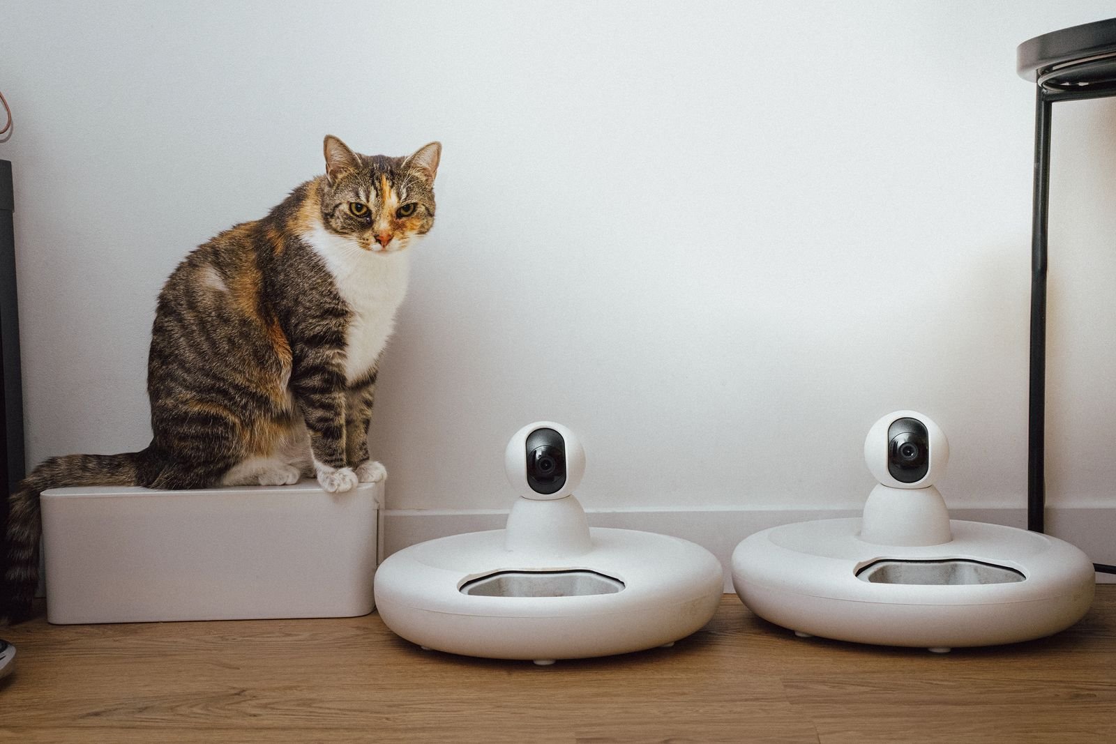 Best Pet Cameras for Home Monitoring in 2026