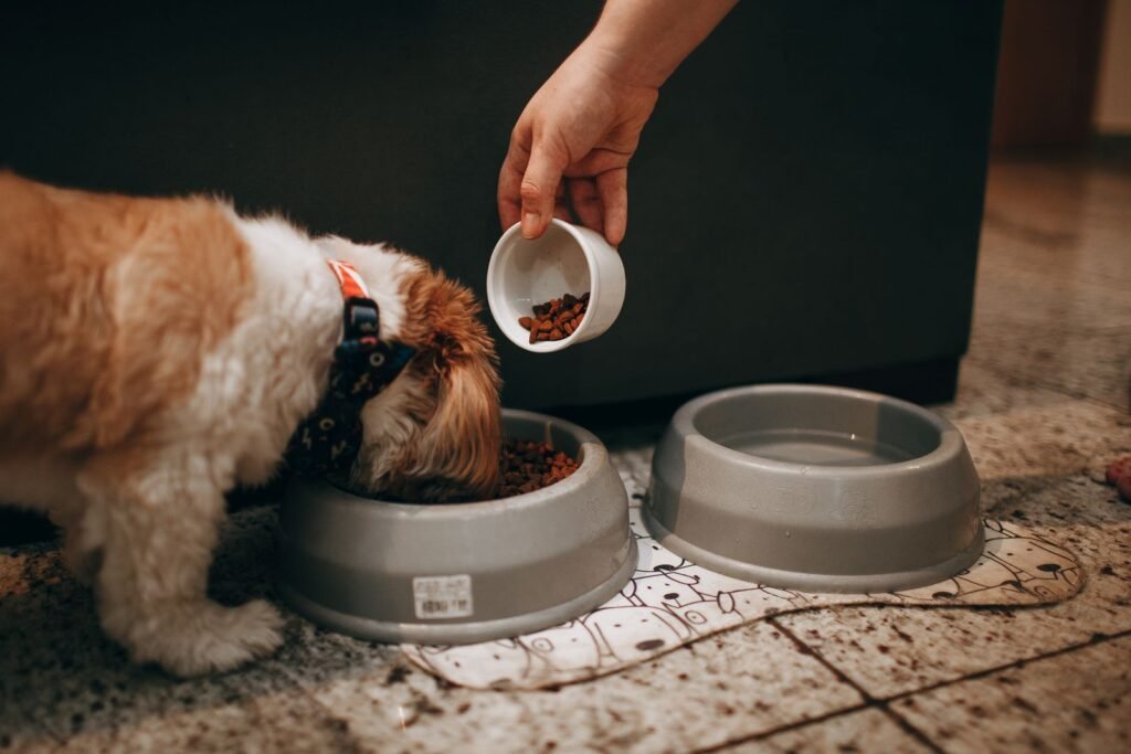 A hand portions kibble into a measuring cup above a dog bowl while a dog waits