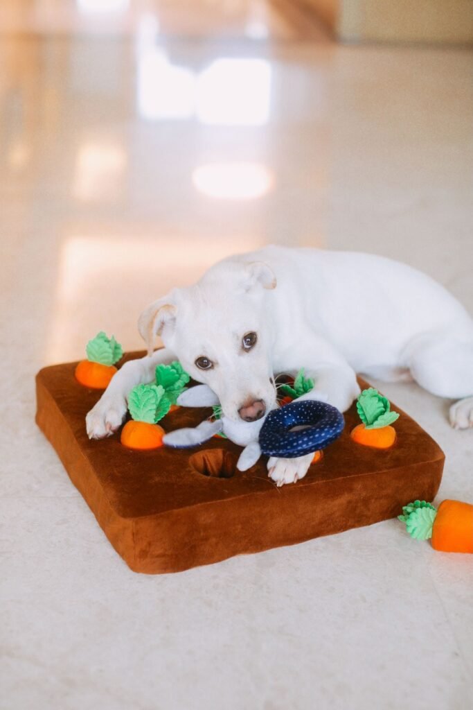 White dog lying on a plush carrot-shaped snuffle mat indoors, enjoying enrichment playtime