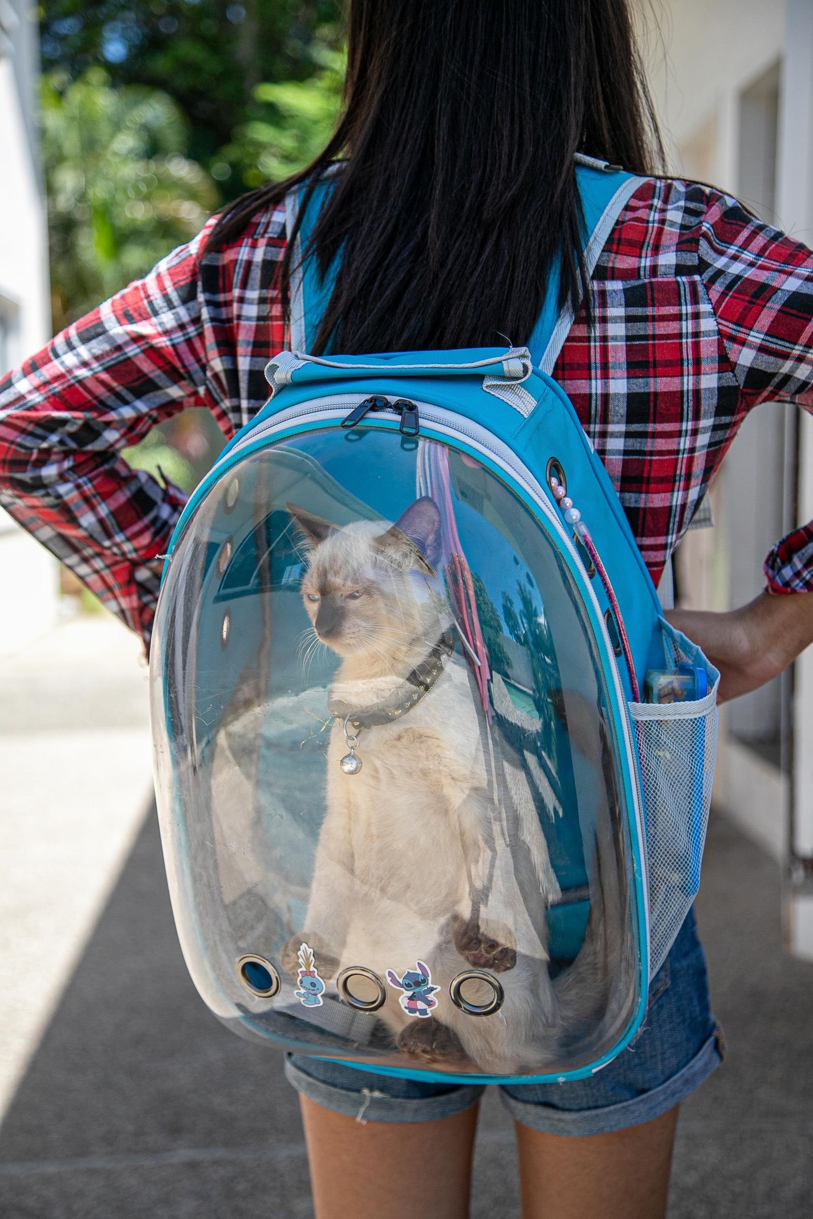 The Cutest Cat Carriers on the Internet Right Now