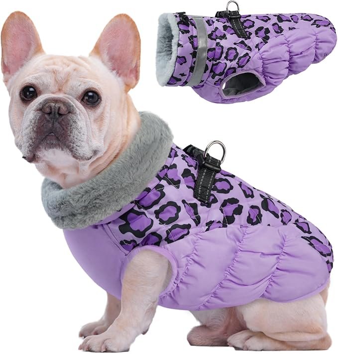 Kuoser Windproof Waterproof Winter Dog Jacket